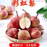 新鲜现摘脆甜多汁七彩梨酥脆彩虹梨脆甜酥梨脆梨一件代发带箱十斤