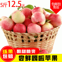 新鲜脆甜现摘嘎啦苹果当季水果泡沫托盘3斤装整箱批发小苹果甜果
