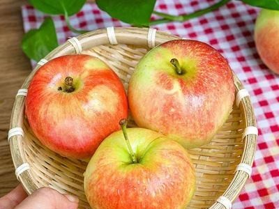 新鲜脆甜现摘嘎啦苹果当季水果泡沫托盘3斤装整箱批发小苹果甜果图3