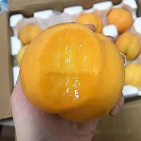 新鲜现摘脆甜黄金油桃黄桃黄心油桃甜桃脆桃孕妇小孩水果五斤装