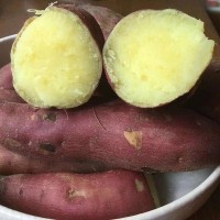陕西临潼板栗薯板栗红薯红蜜薯新鲜沙地红薯非六鳌红薯