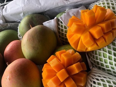 云南澳芒整箱9斤肉厚多汁新鲜水果苹果芒现摘现发单果200g可代发图3