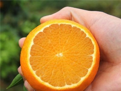 【现货】四川丹棱爱媛38号果冻橙5斤/8斤 新鲜水果手剥橙脐橙图2