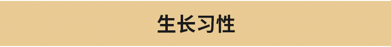 未标题-1_03