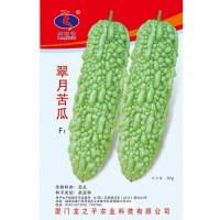 淡绿皮苦瓜籽厦门龙之子种业座果高蔬菜种子易种翠月苦瓜子