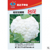 花椰菜种子蔬菜子金生种业春秋季大棚田园种植台花松花菜种籽