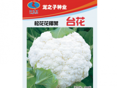 花椰菜种子蔬菜子金生种业春秋季大棚田园种植台花松花菜种籽图5