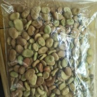 成都小胡豆种子蚕豆种子200克每袋