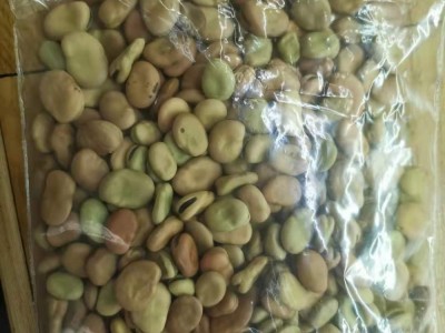 成都小胡豆种子蚕豆种子200克每袋图2