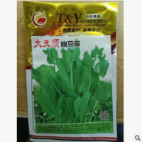 大无须豌豆苗种子500克每袋出苗整齐粗壮无须