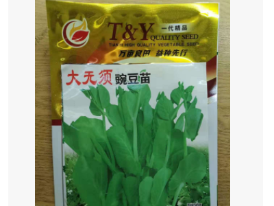 大无须豌豆苗种子500克每袋出苗整齐粗壮无须图5