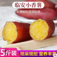 临安天目山小香薯5斤红薯新鲜农家蜜薯紫薯地瓜板栗山芋番薯