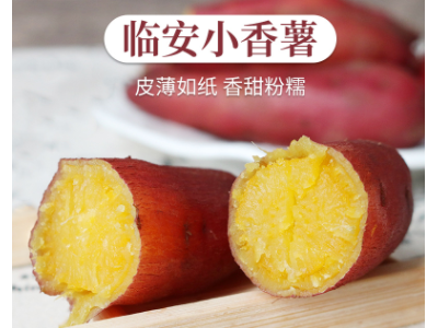 临安天目山小香薯5斤红薯新鲜农家蜜薯紫薯地瓜板栗山芋番薯图5