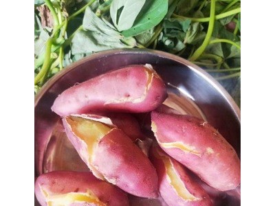 海南澄迈桥头富硒地瓜5/10斤装原产地红薯富硒红薯 富硒新鲜小果图3