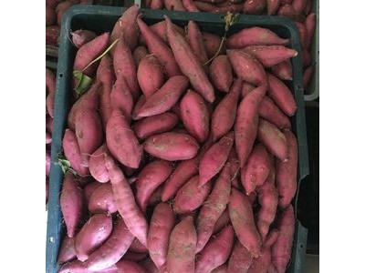海南澄迈桥头富硒地瓜5/10斤装原产地红薯富硒红薯 富硒新鲜小果图2