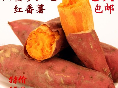 六鳌红蜜薯海边沙地地瓜5斤招代理原产地基地红薯供应链一件代发图2