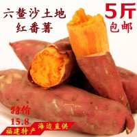 六鳌红蜜薯海边沙地地瓜5斤招代理原产地基地红薯供应链一件代发