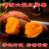 新鲜福建六鳌沙地番薯红心地瓜小番薯红薯山芋3斤包邮一件代发