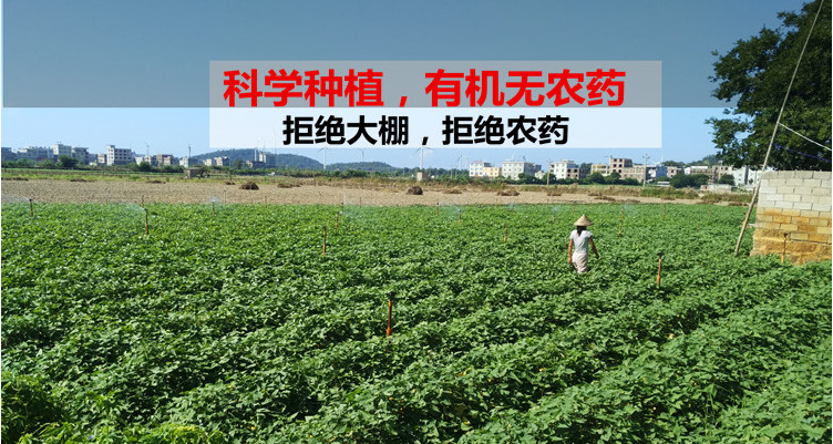 QQ图片20160816153755