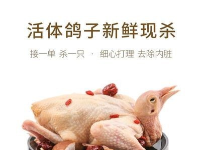 煲汤靓品 富裕鸽子肉 新鲜现杀 5-6两鸽肉 五谷杂粮喂养 肉厚新鲜图2