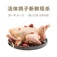 煲汤靓品 富裕鸽子肉 新鲜现杀 5-6两鸽肉 五谷杂粮喂养 肉厚新鲜