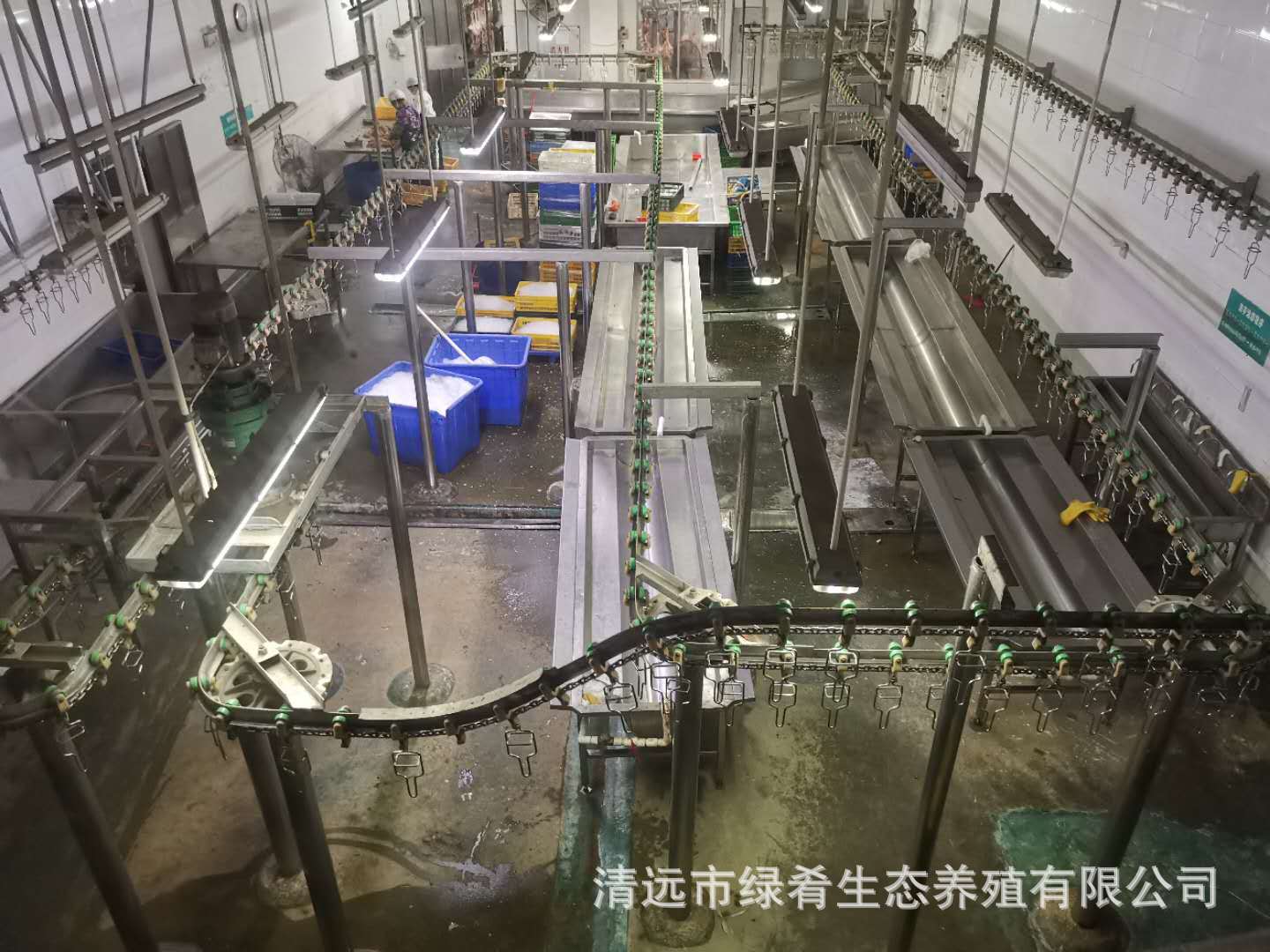 屠宰厂招聘照片5