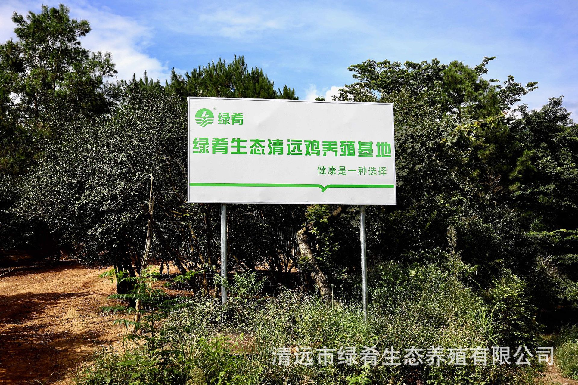 养殖基地照片