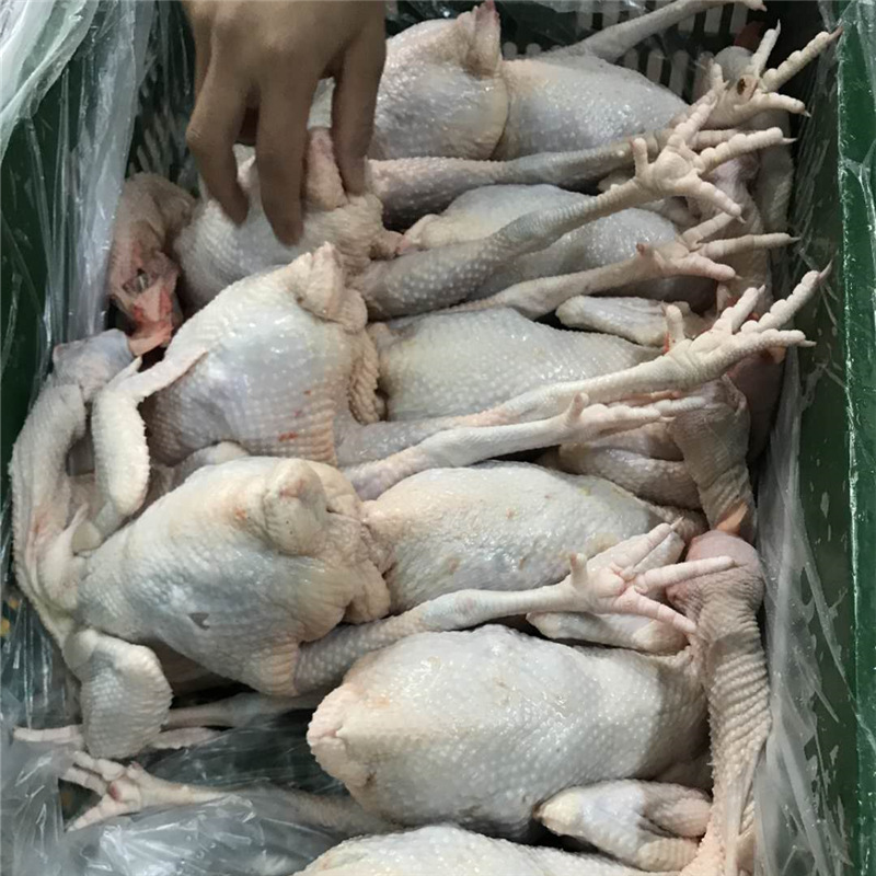 图3，800