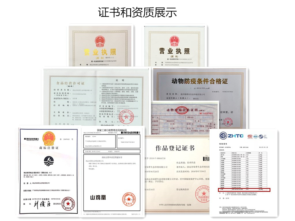 证书和资质展示
