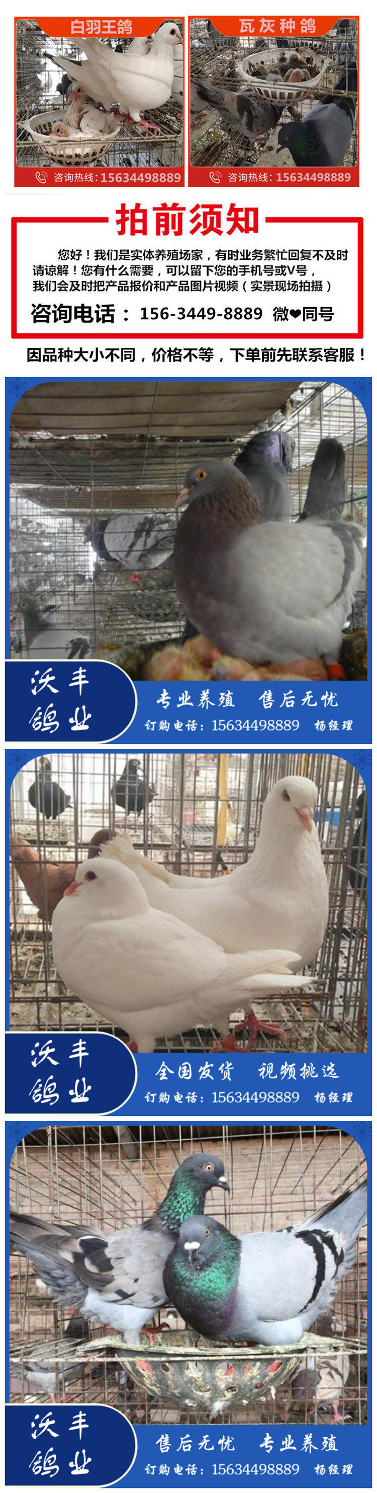 未命名_副本851.jpg