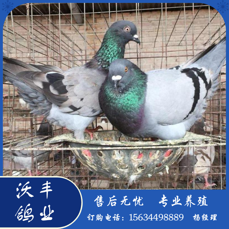 默认文件1583682845120.png