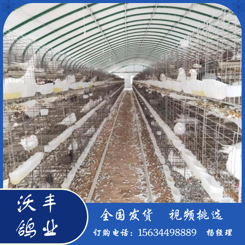 默认文件1583682659378.png