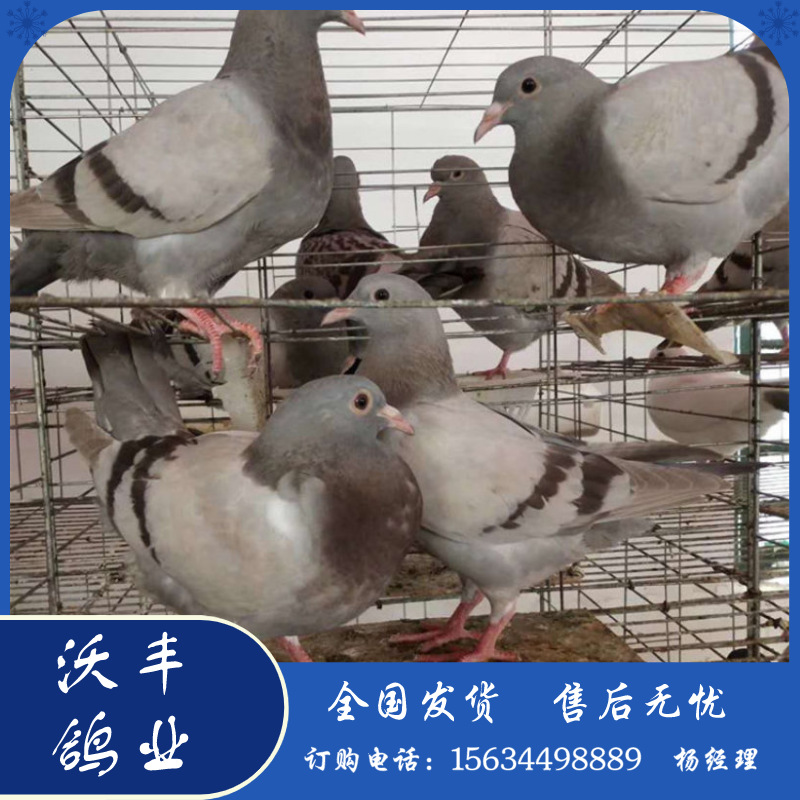 默认文件1583682023751.png