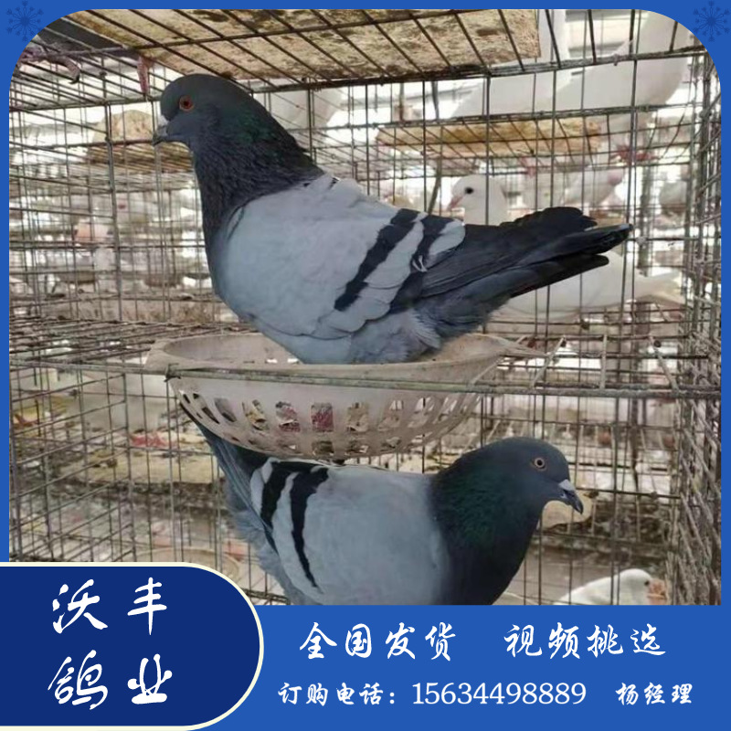 默认文件1583682639931.png