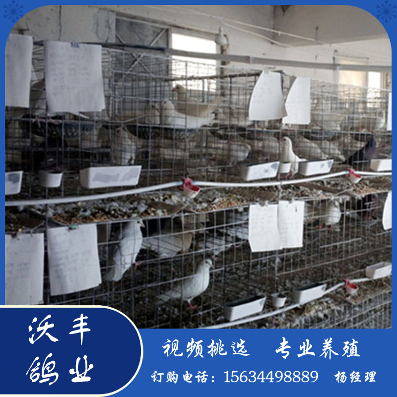 默认文件1583681927955.png