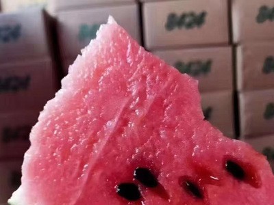 黑籽西瓜香甜新鲜采摘当季西瓜新鲜应季水果一件代发皮薄肉甜图2