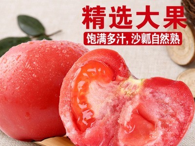 山东海阳 普罗旺斯西红柿 新鲜柿子沙瓤5斤番茄一件代发图3