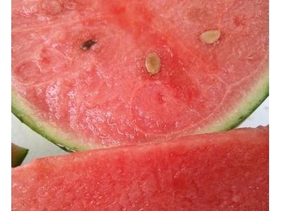 山东全美2K西瓜新鲜应季水果首茬无籽薄皮麒麟瓜沙瓤图3