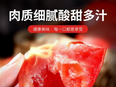 一件代发山东普罗旺斯西红柿3、5斤普装沙瓤小番茄自然口感西红柿图2