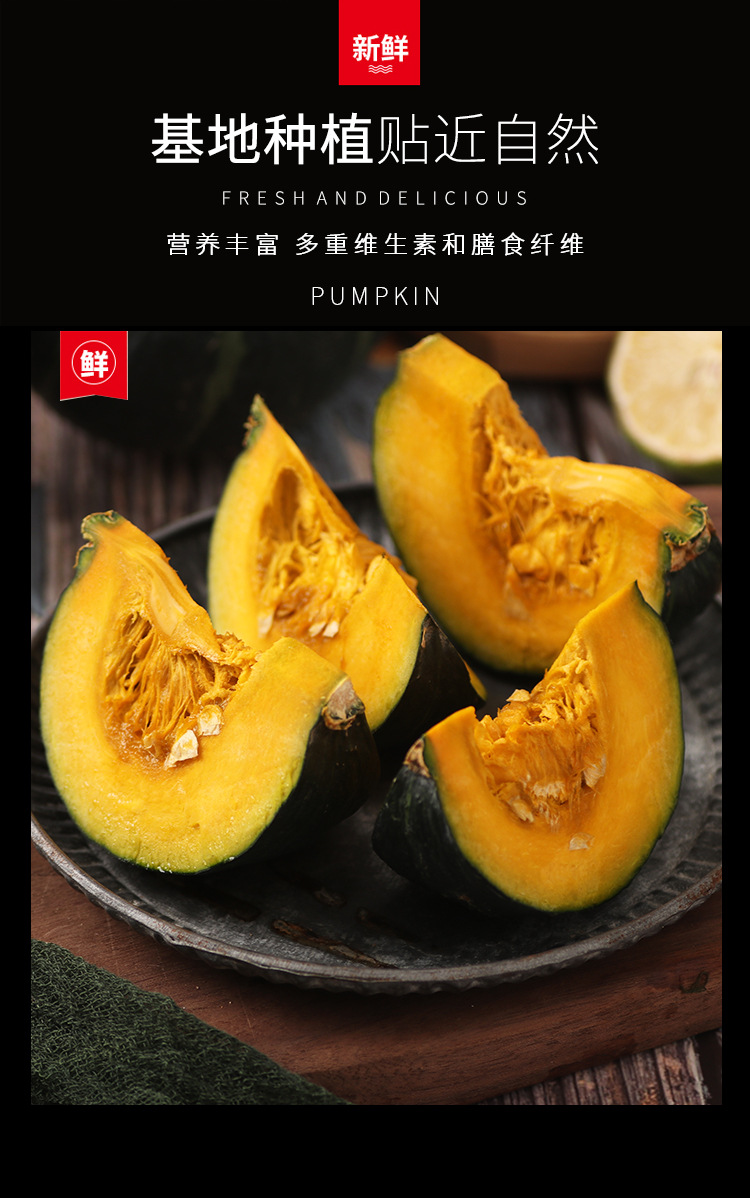 刘春波贝贝南瓜_04