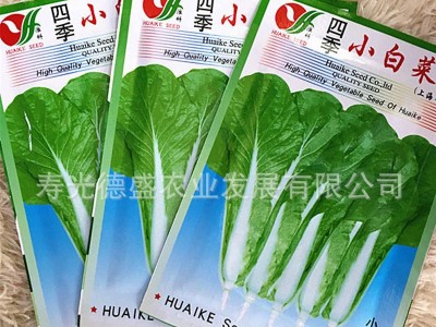 厂家直供小白菜种子四季农田菜地阳台盆栽种植小汤菜小白菜籽批发图5