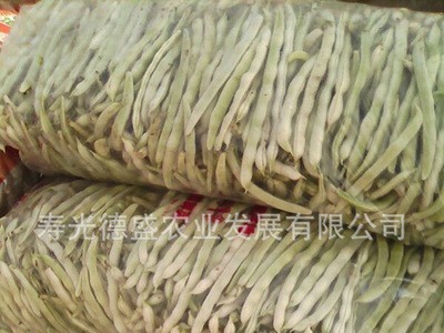 厂家直供新品种地豆芸豆种子 花期短不用搭架的芸豆 蔬菜种子批发图4