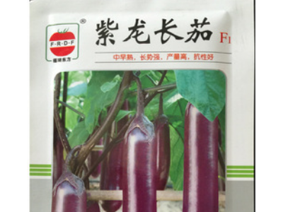 厂家直供茄子种子紫龙长茄紫红色种籽果皮光滑油亮批发可一件代发图5