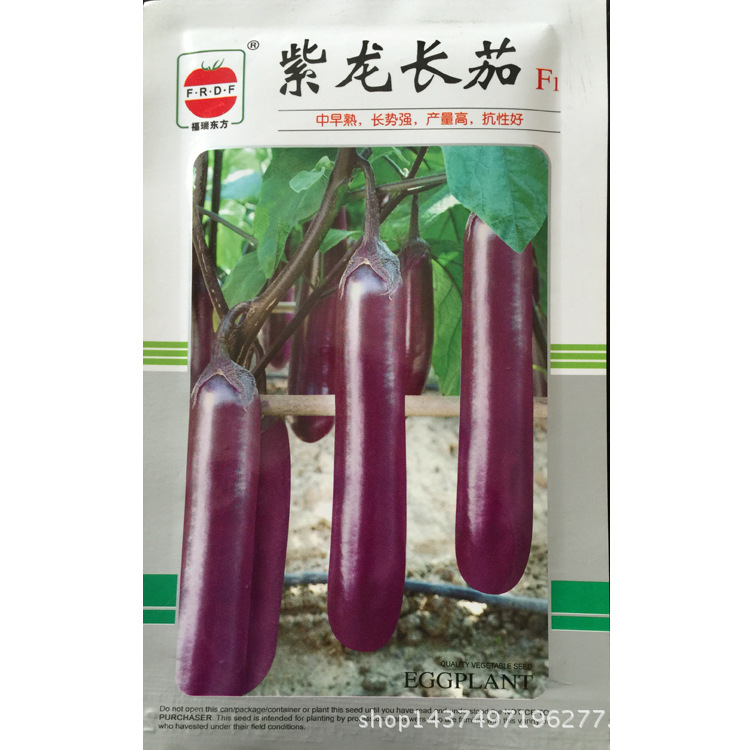 紫龙长茄40