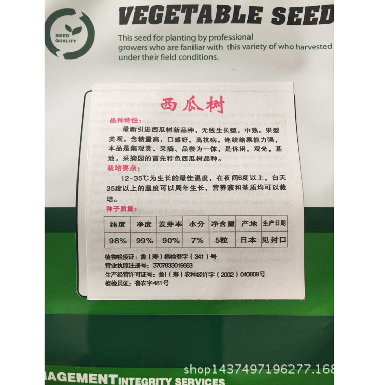 西瓜树_副本