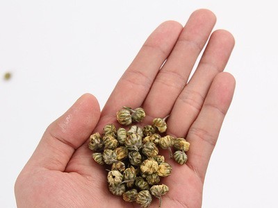 河南特产焦作怀菊花怀胎菊花果茶食用花茶50g产地批发罐装菊花茶图4