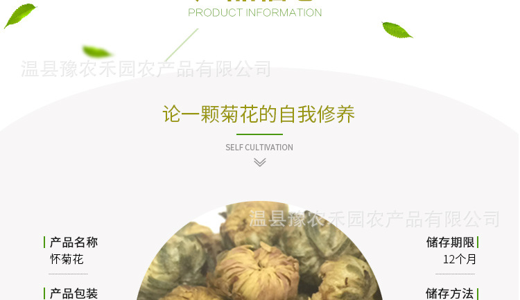 最新胎菊详情_07.jpg