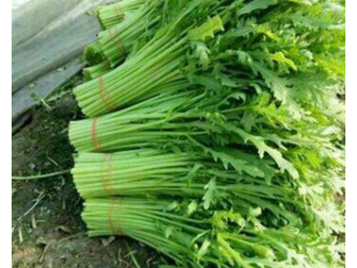 批发蔬菜种子 杂交贝贝南瓜 单个瓜300-500克 口感甘甜 10粒装图4