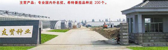 苗场图片