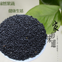 大量批发价供应阳台芽苗菜黑豆苗种子绿色营养黑豆种子小黑豆